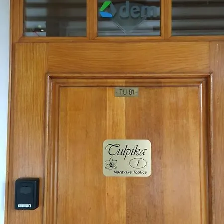 Tulpika1 Apartment *